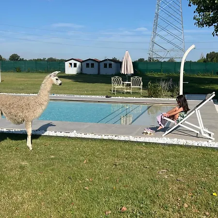 Villa Iris-2