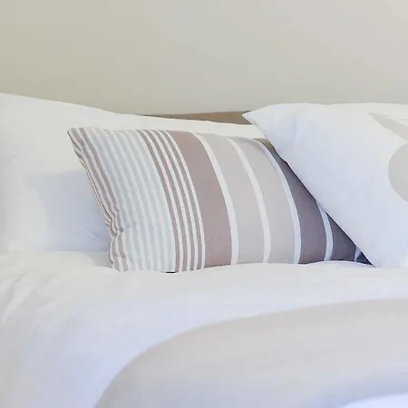 Emilia Suite-2